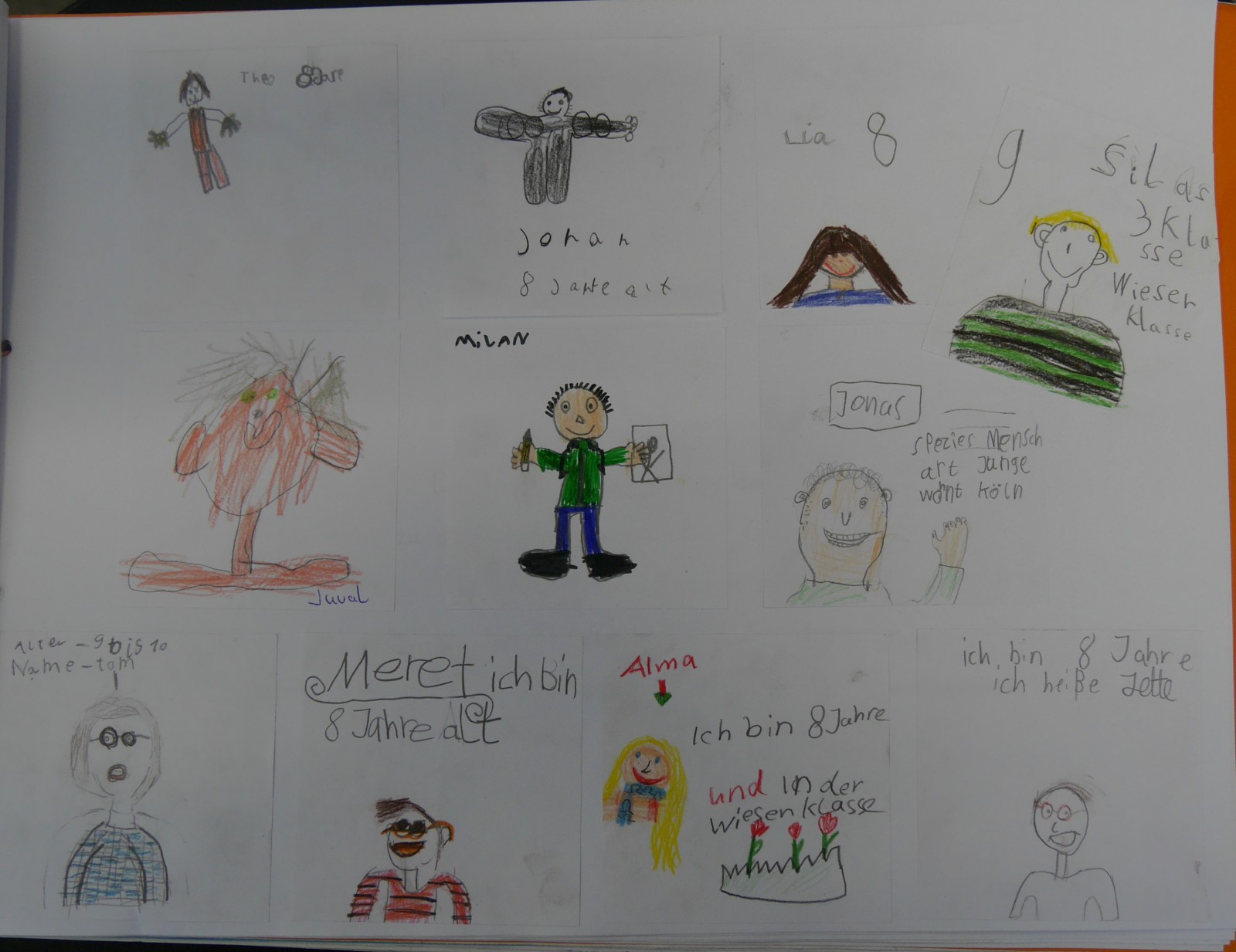 Projektbuch der Wiesenklasse