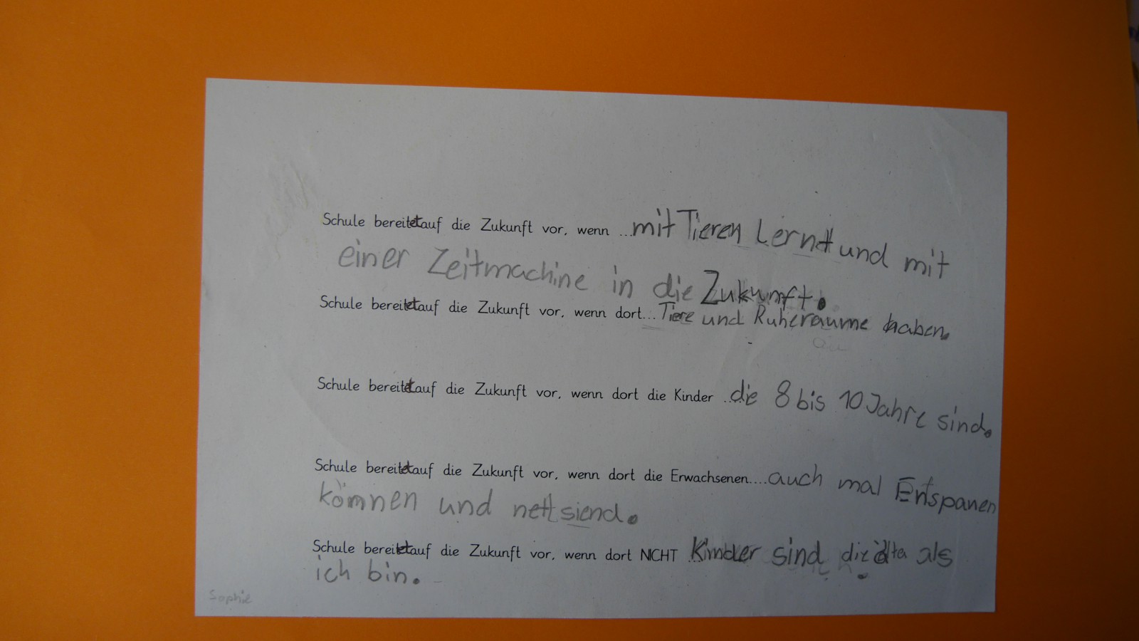 Projektbuch der Wiesenklasse