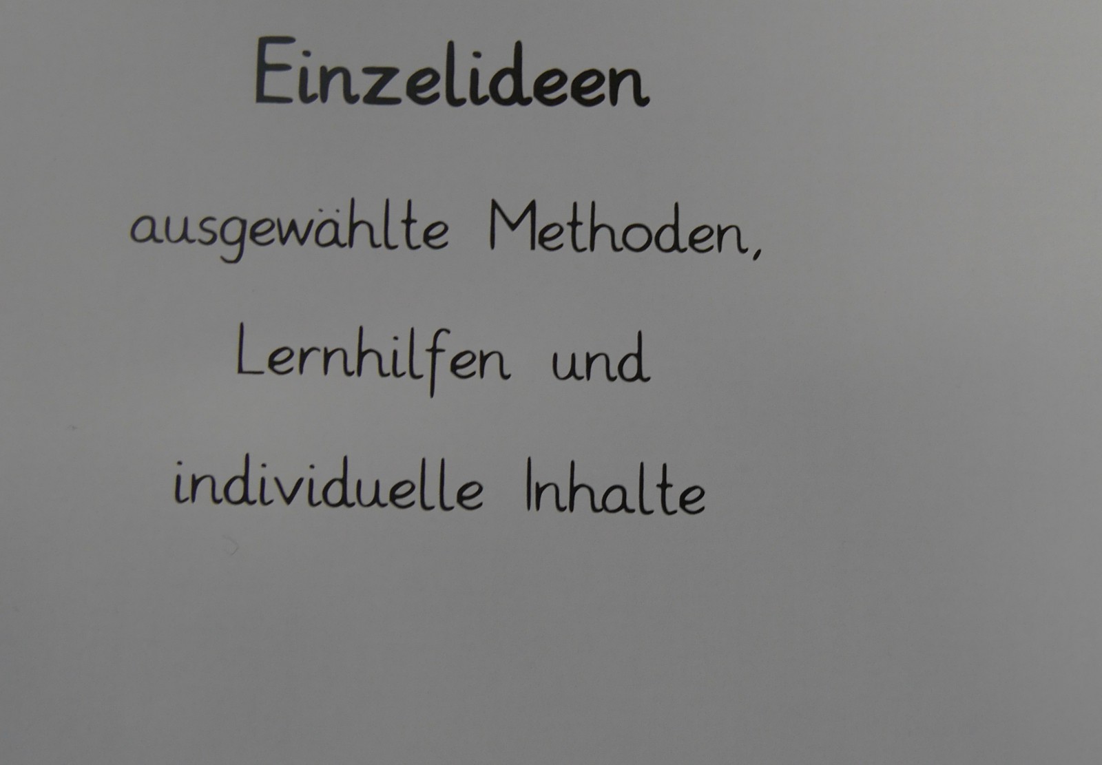 Projektbuch der Wiesenklasse