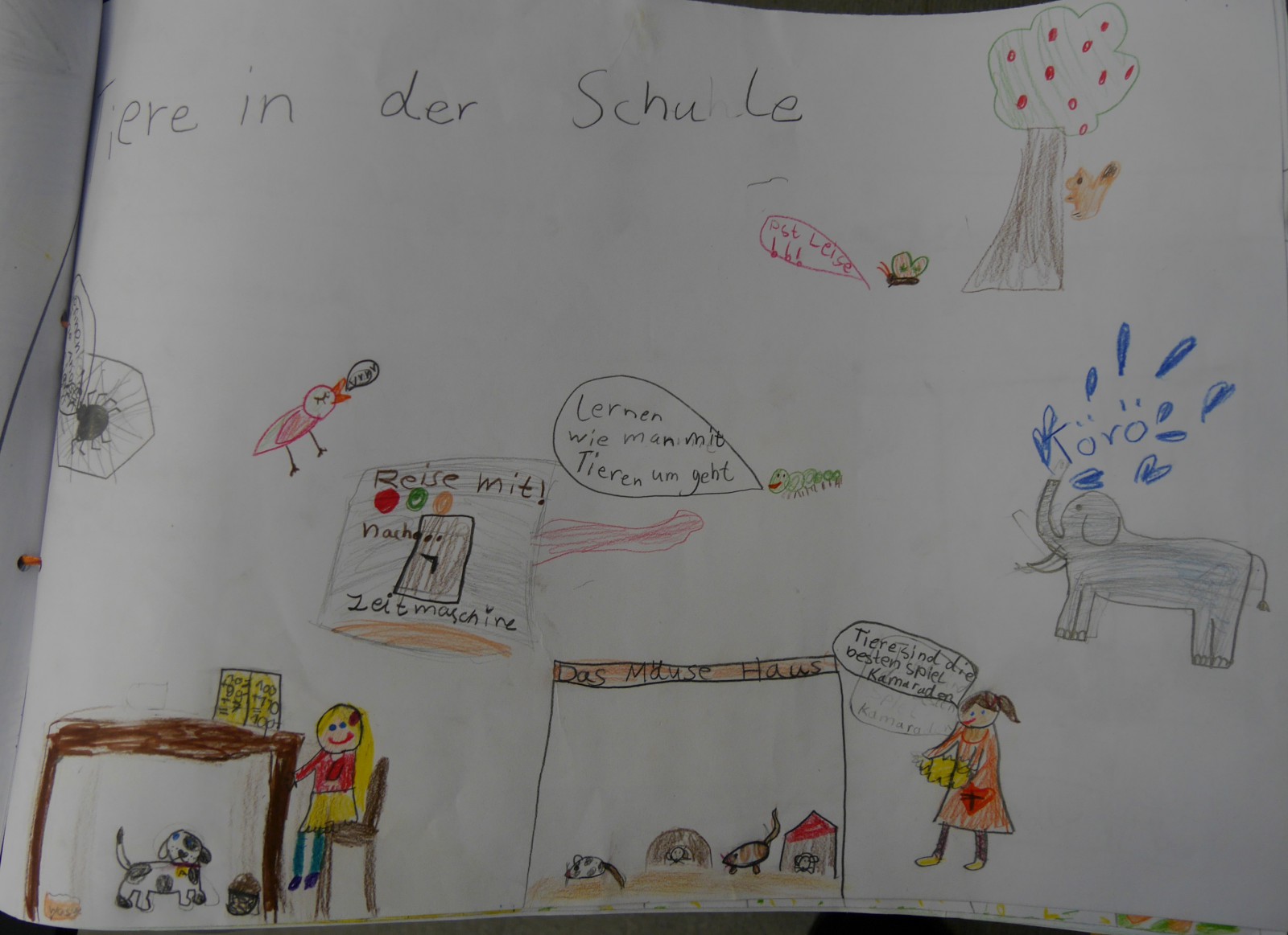 Projektbuch der Wiesenklasse