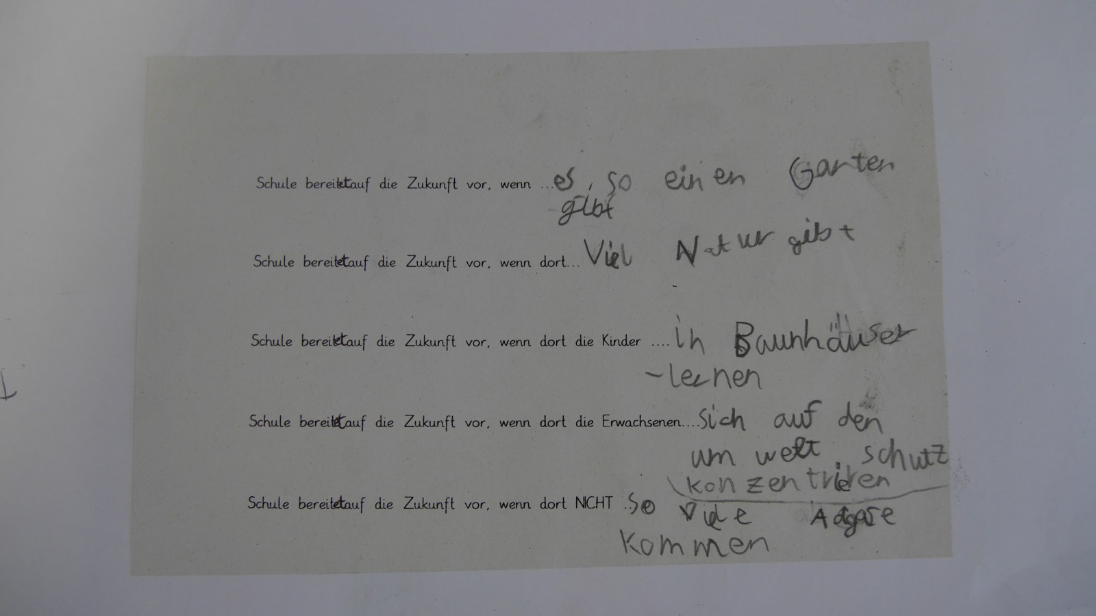 Projektbuch der Wiesenklasse