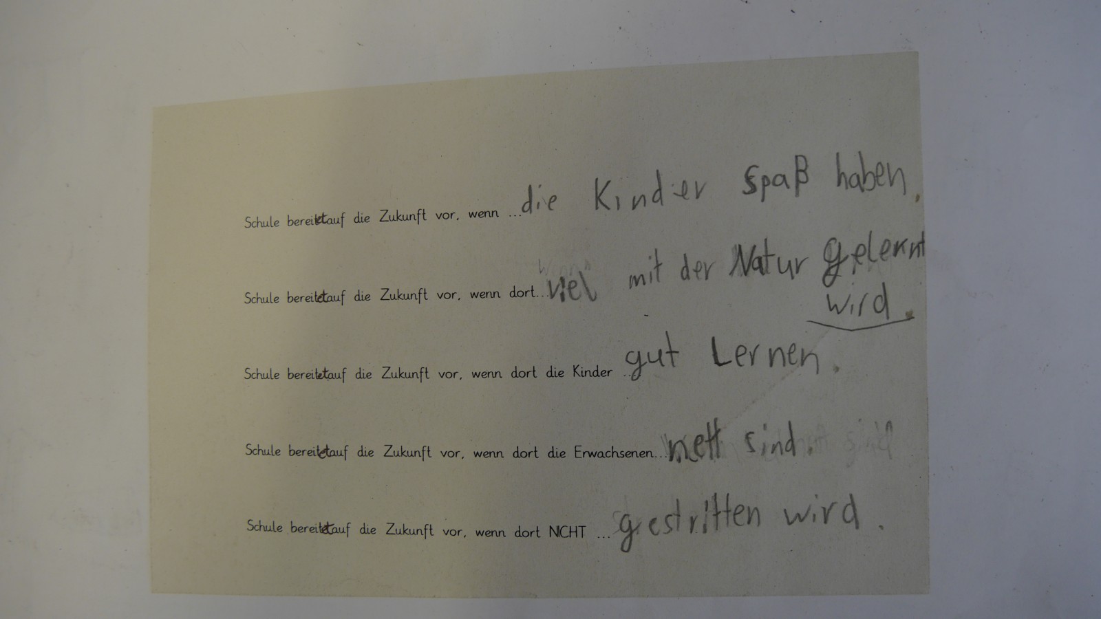 Projektbuch der Wiesenklasse